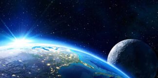 Los 5 mejores documentales sobre naturaleza de Netflix