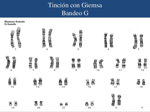 Escena de Being Heumann