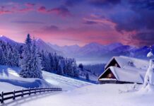 In a Holidaze Trailer #1 (2026): Primer Vistazo y Detalles