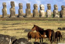 Wild Horse Nine Exclusive Featurette – Easter Island (2026): Fecha de estreno, reparto y análisis profundo del fenómeno cinematográfico